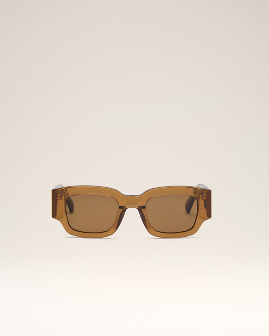 Brown Acetate 75001 Sunglasses